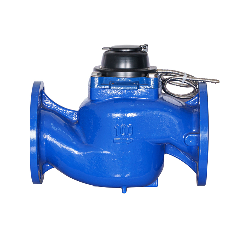 ERAT DN40-DN200 princeps praecisione Verticali stupra Wing Detachable Photoelectric Direct-Reading aqua Meter