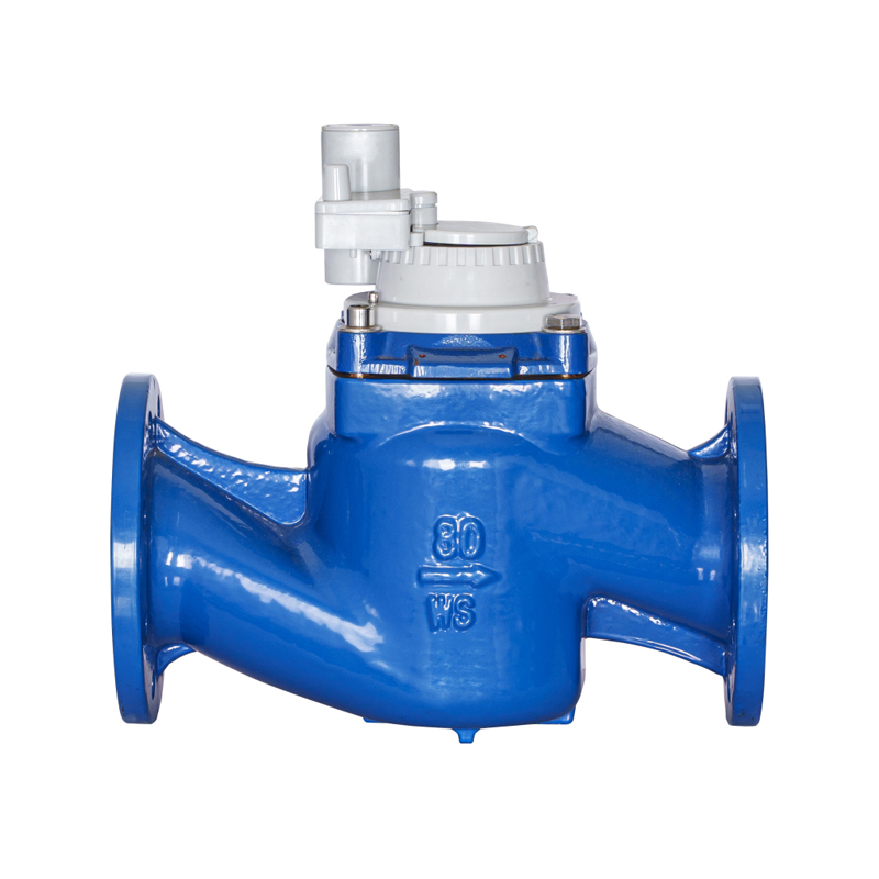 ERAT DN40-DN200 princeps praecisione Verticali stupra Wing Detachable Non Magnetic Integrated Water Meter