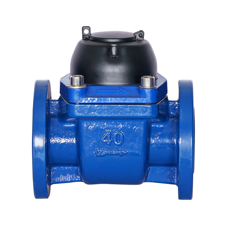WPH-DN40-DN65WPH cochleae horizontalis alae aquae metri