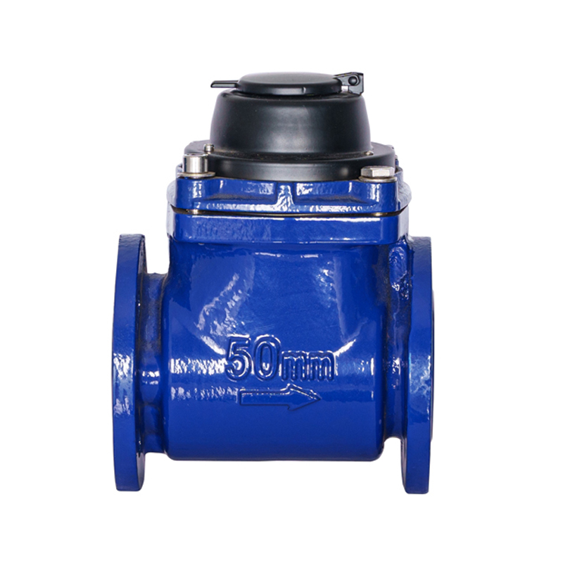 WPH DN50-DN200 Horizontalis Detachable Spiral Wing Aqua Meter