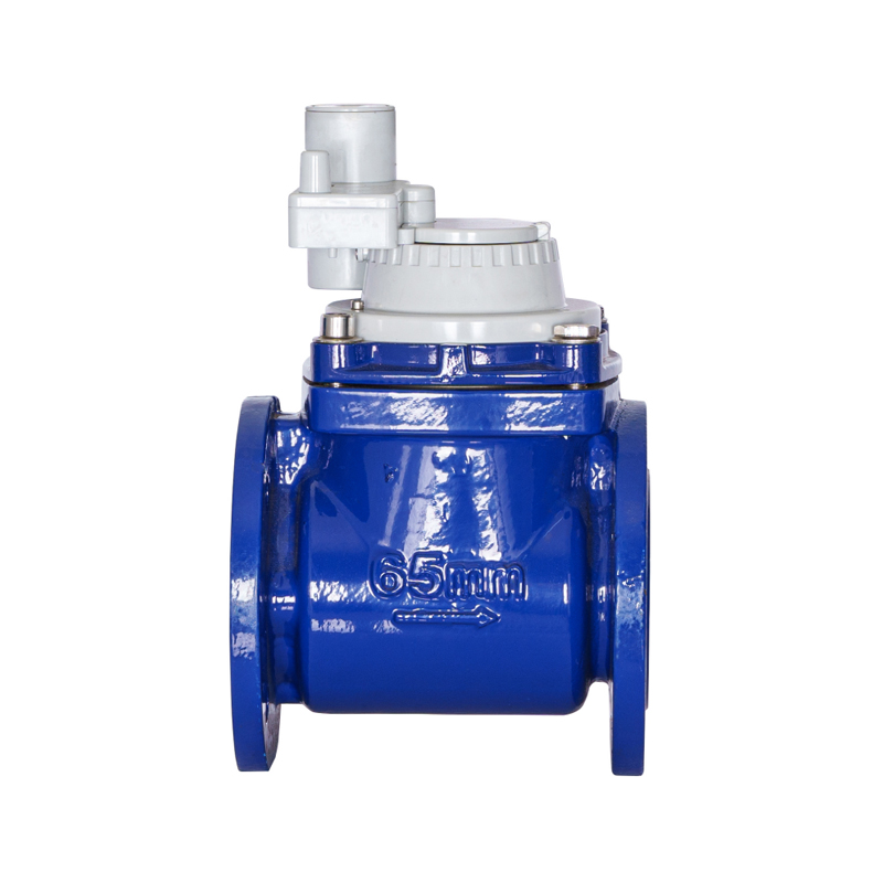 WPH DN50-DN200 Horizontalis Detachable stupra Wing Non Magnetic Integrated Water Meter