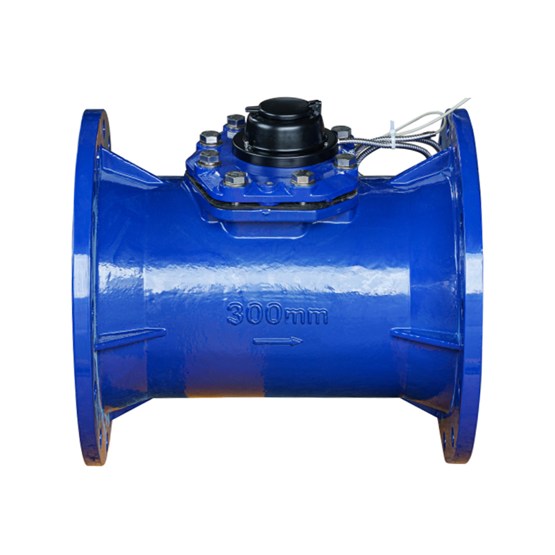 LXLC-DN50-DN500 Aquae Horizontalis Detachable Metrum